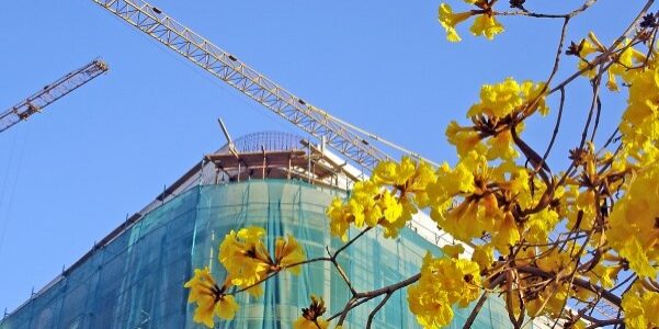 construction-in-bloom-__-Freeimages1221318