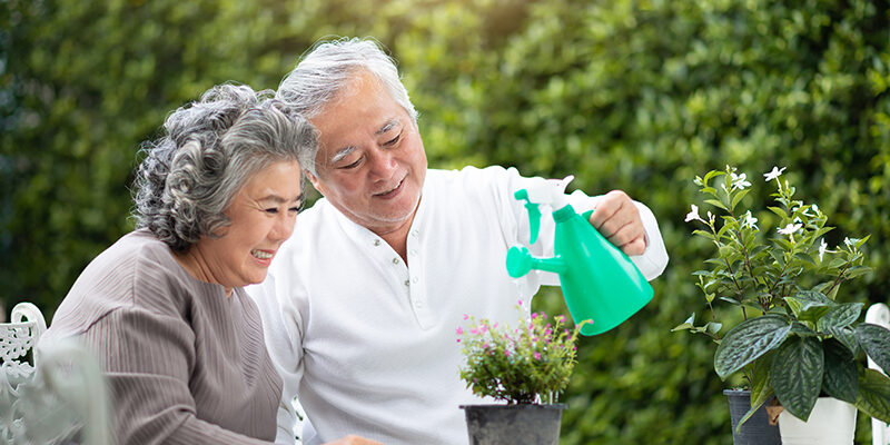 Asian Senior Couple helping to care for plants at outdoor together.